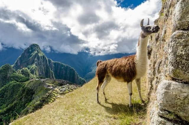 最适合5月去的旅行目的地，送给你专属的旅行体验！