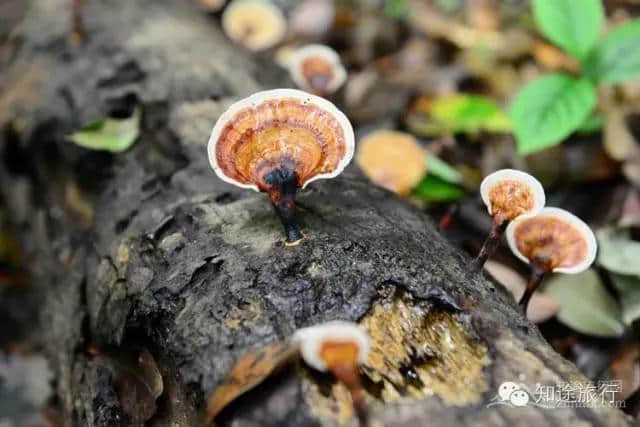 烟雨四月旅行梦想季，推荐七大绝佳旅行路线出行必看