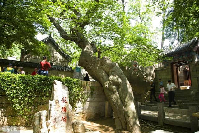 有哪些是来青岛必去的景点，来看看