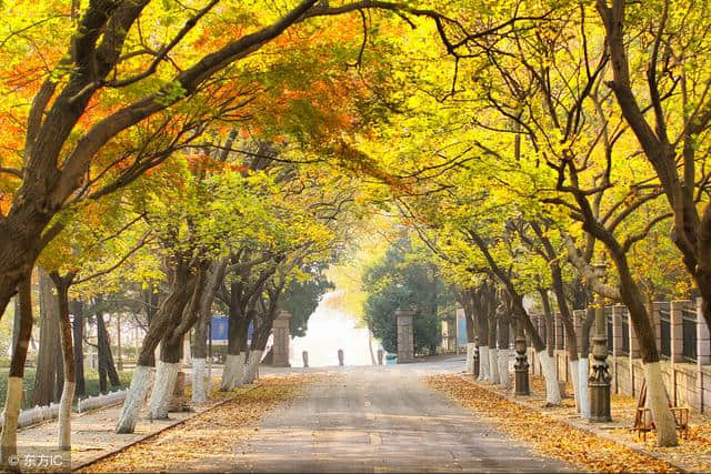 有哪些是来青岛必去的景点，来看看