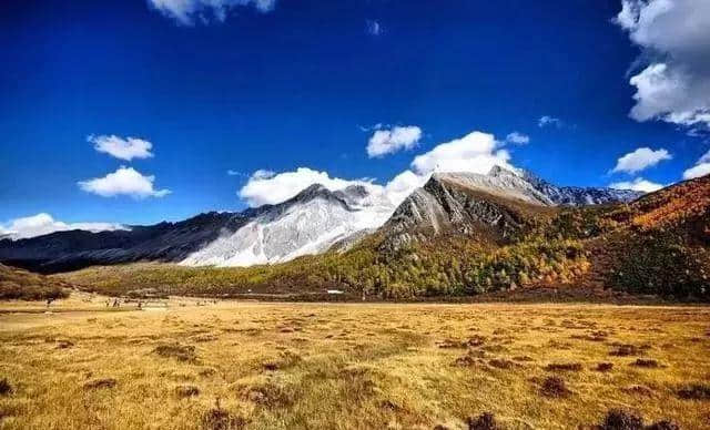 去四川旅行，全国特色景点在这里都能找到，你想去吗？