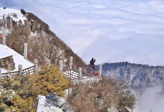 峨眉山、乐山大佛、三苏祠文化旅游，观光行程攻略推荐