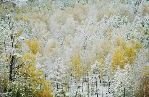 10月最佳国内旅行地推荐 对的时间遇见对的风景