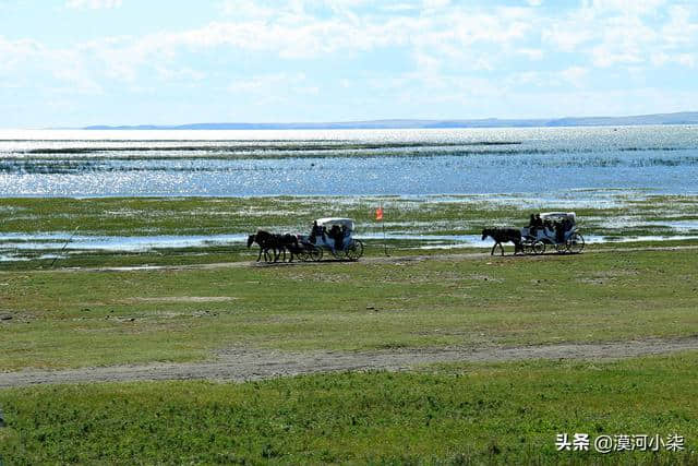 一路向北，呼伦贝尔漠河7天游玩线路攻略｜草原+大兴安岭森林美景