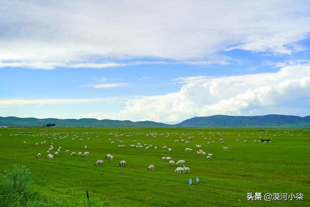 一路向北，呼伦贝尔漠河7天游玩线路攻略｜草原+大兴安岭森林美景