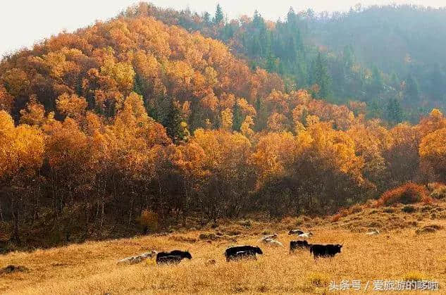 10月最佳旅行地｜2018余额不足，欠自己的旅行是时候该还了！