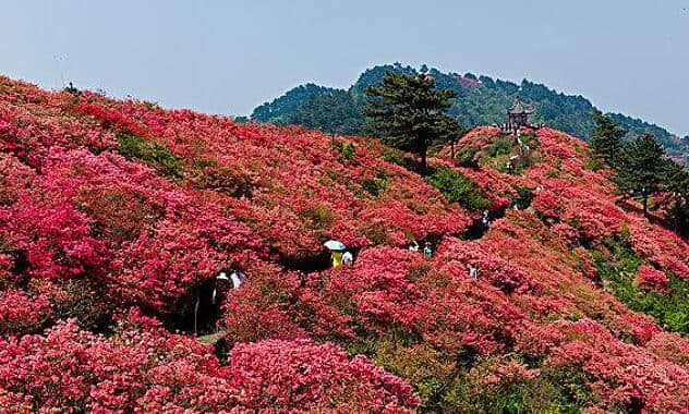 5月旅游，最值得去的8个地方