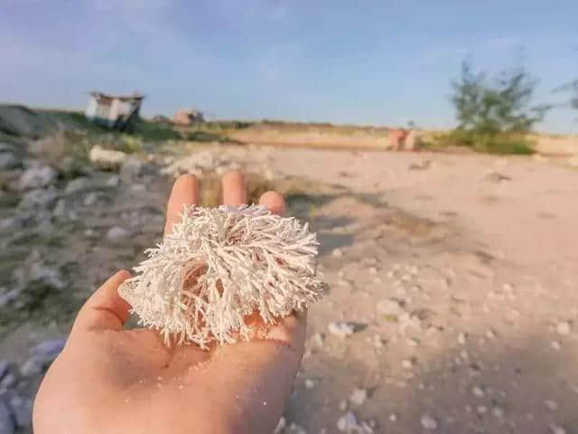 五一旅行地推荐！这几个最适合出行的小众旅行地，你绝对不能错过