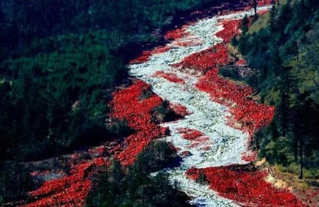 11月，国内最适合出游的旅行地推荐，你最想去哪里？