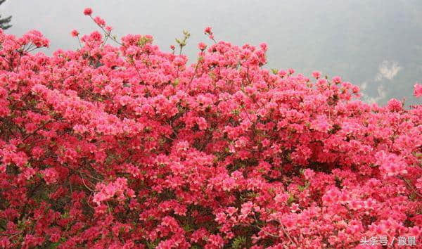 5月份最适合去哪里旅游