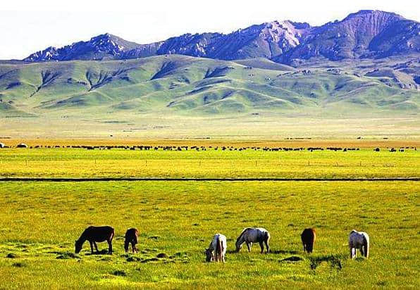 旅游你不得不去四川：青城山，都江堰，佛国色达，九寨沟