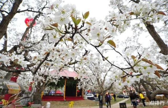 兰州十大著名旅游景点，五泉山公园是一处具有两千多年历史的旅游胜地