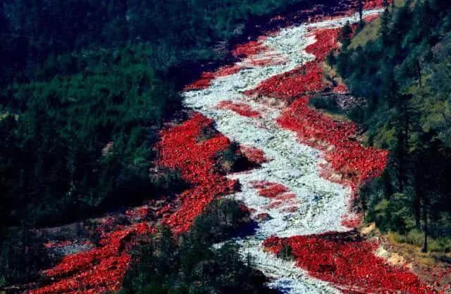 11月国内旅行地推荐！这12个最适合秋冬去的地方，绝对不能错过