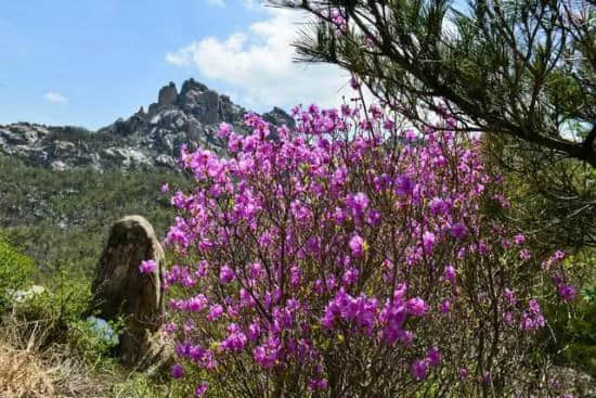 五一假期怎么玩？一篇攻略带你玩转崂山~