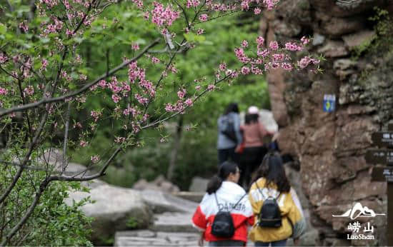 五一假期怎么玩？一篇攻略带你玩转崂山~