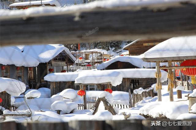 12月去哪旅游好？试试黑龙江雪乡1日游，知道2点避免被宰