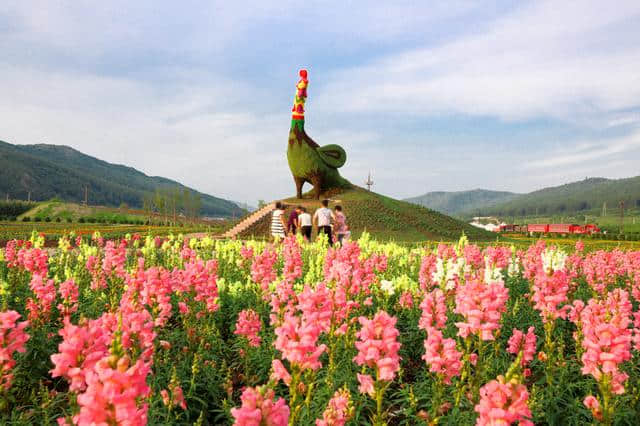 伊春朗乡花海迎四方宾客