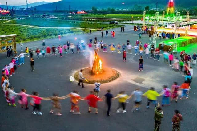 伊春朗乡花海迎四方宾客