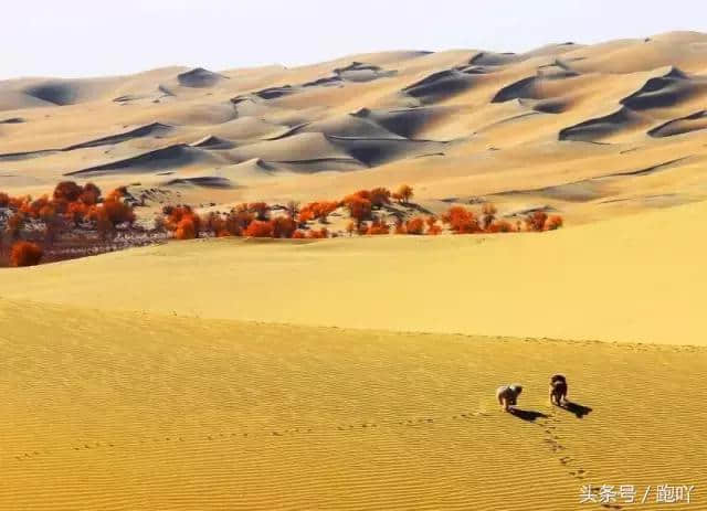 最适合10月去的国内旅行地，秋色撩人醉！