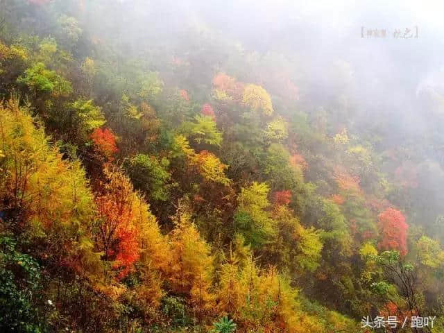 最适合10月去的国内旅行地，秋色撩人醉！