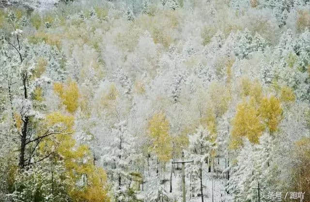 最适合10月去的国内旅行地，秋色撩人醉！