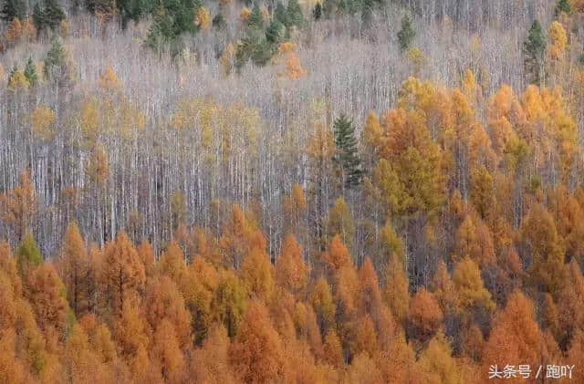 最适合10月去的国内旅行地，秋色撩人醉！