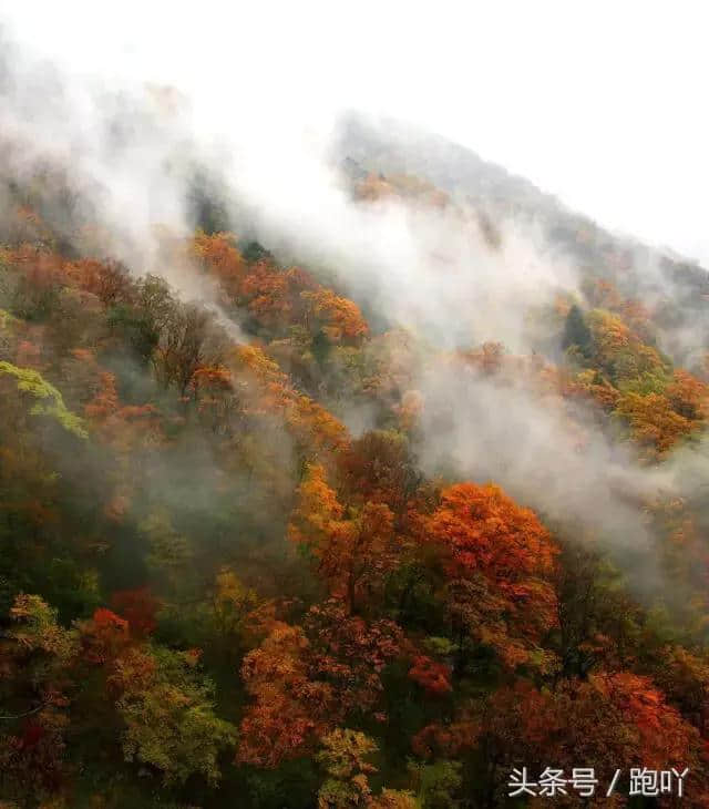 最适合10月去的国内旅行地，秋色撩人醉！