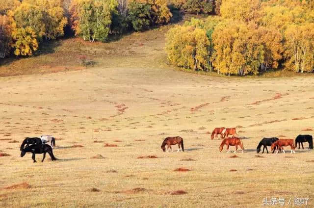 最适合10月去的国内旅行地，秋色撩人醉！