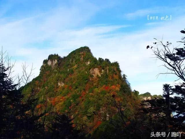 最适合10月去的国内旅行地，秋色撩人醉！