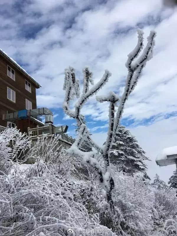 通知！四川这一360°云海观景平台全面闭园！