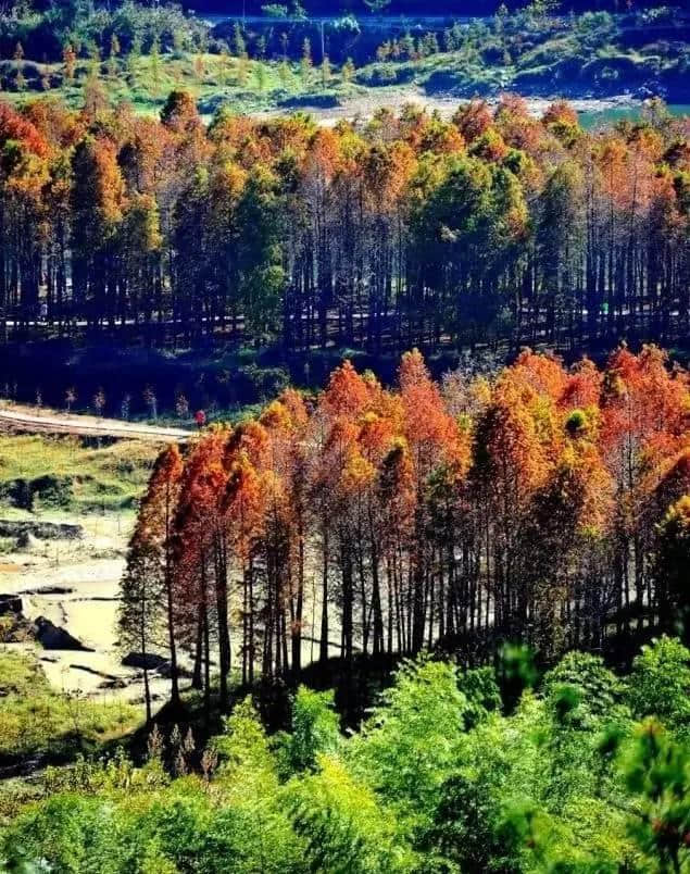 中国旅行｜11月旅游景点推荐，在对的时间去对的地方！