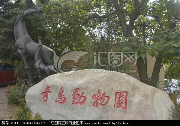 山东青岛免费和收费景区票价大全！留着，十一我们约起！