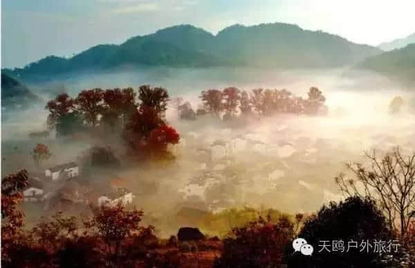 十一月旅游如果只选一个地方，我选择婺源