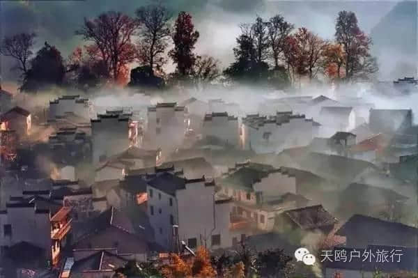 十一月旅游如果只选一个地方，我选择婺源