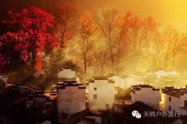 十一月旅游如果只选一个地方，我选择婺源