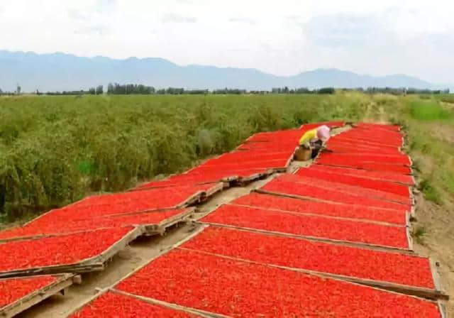 走一次青藏线，来一回公路美景大片！