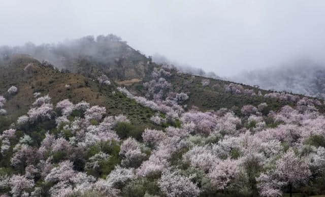 4月最佳旅行地推荐，这10个地方最适合春天出行!