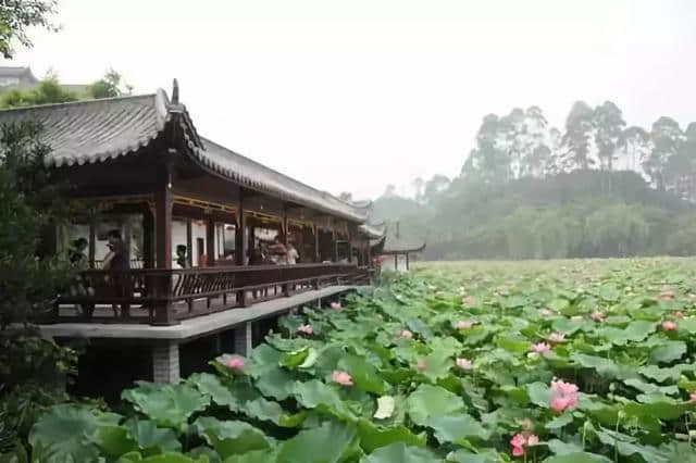 全部免费！盘点乐山一日游免费景点，让你任性耍开心！