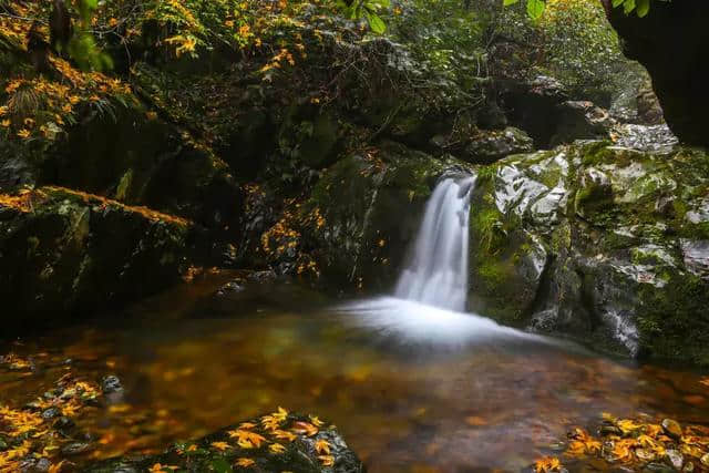 千岛湖乡村旅游，是时候告诉全世界了！