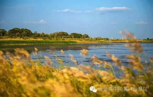 如果人生只能有一次旅行，请到吴忠看美景·品美食