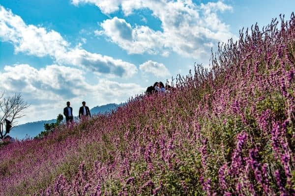 初冬，邀你来黔西南逛一逛！全国游客到黔西南旅游门票五折优惠哦