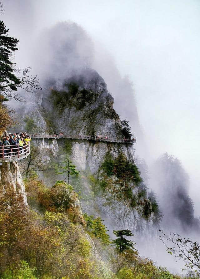 重磅福利！2月4日-10日，5A景区老君山，对全国游客，免门票