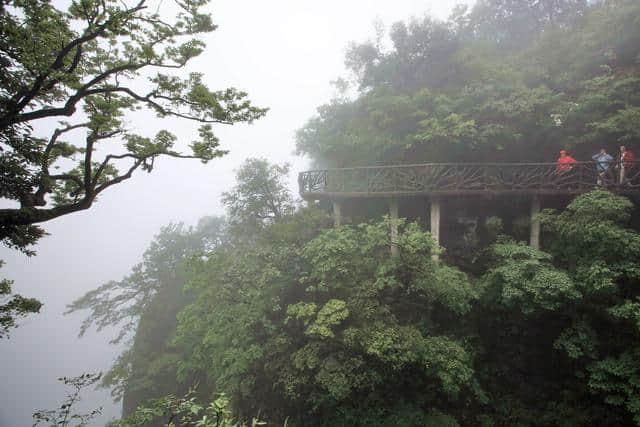 11月份最适合去的地方，给自己一次说走就走的旅行！