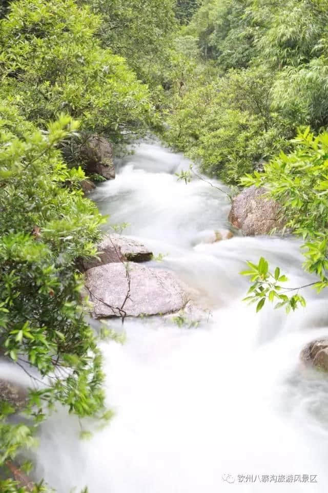 八寨沟雨后瀑布更壮观景致更迷人