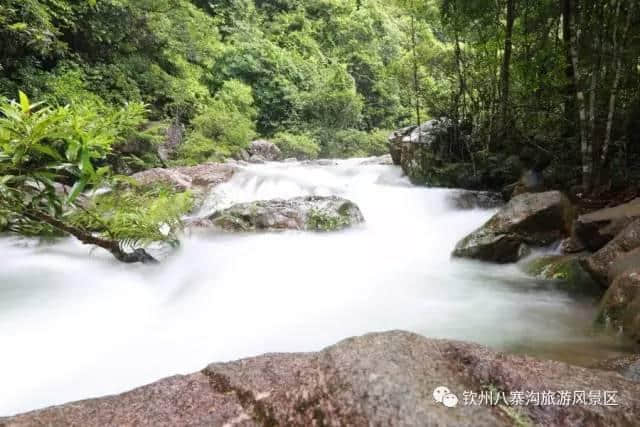 八寨沟雨后瀑布更壮观景致更迷人