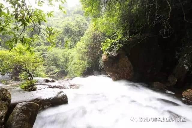 八寨沟雨后瀑布更壮观景致更迷人