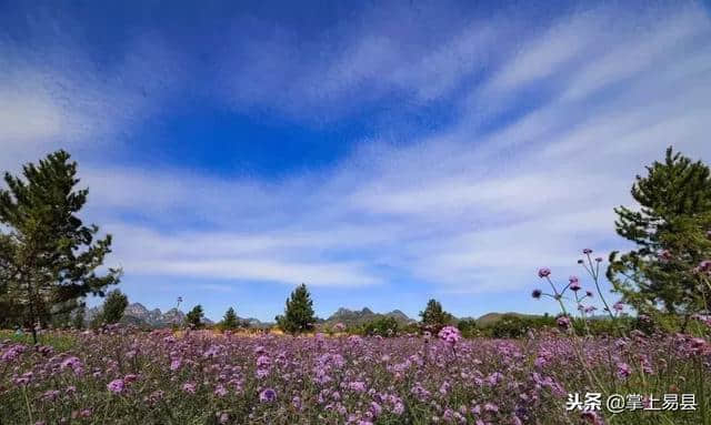 退役军人持《河北省退役军人优待证》免费游玩狼牙山、清西陵