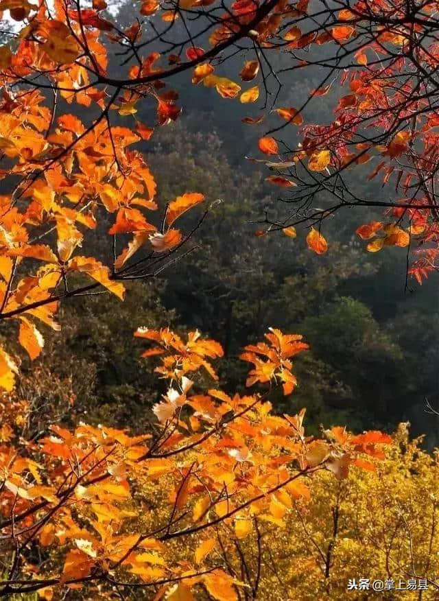 退役军人持《河北省退役军人优待证》免费游玩狼牙山、清西陵