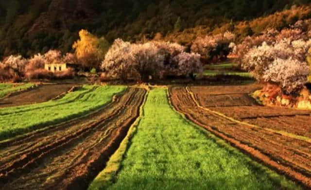 [旅行攻略 ]川藏南线+青藏线大环线自驾游拼车攻略