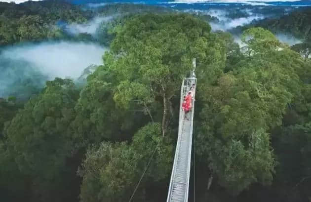 文莱这个地方啊，美食与旅行两全其美！